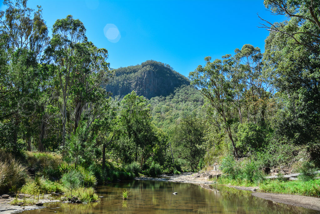 otti-20161230-condamine-creek-2-dsc-8044.jpg