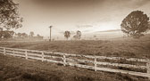 otti-20151018-old-fence-Fenced-in_HDR.jpg