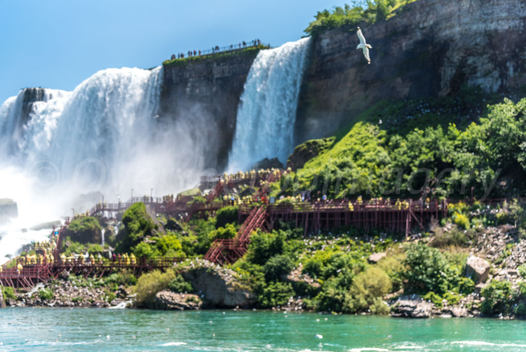 otti-20170704-american-walkway-niagara-OTT_6832.jpg