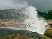 otti-20140304-tasmania-blowhole-20140309_112543.jpg