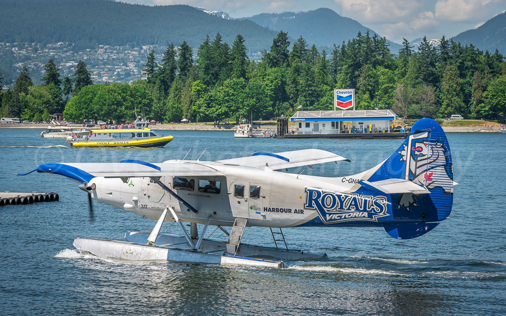 otti-20170630-royals-victoria-seaplane-vancouver-OTT_4374.jpg