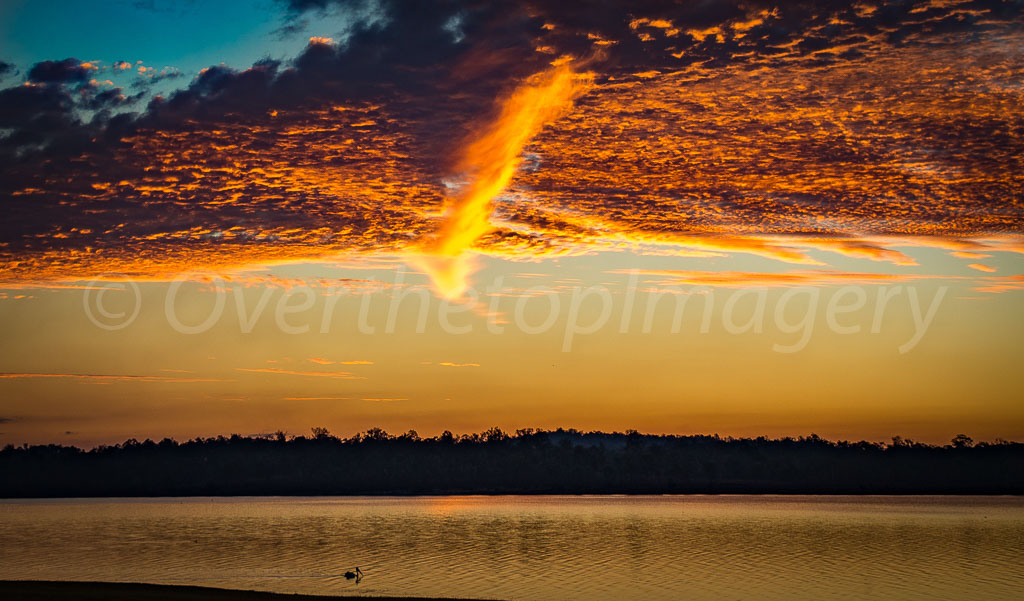 otti-20160809-wivenhoe-sunset-pelican-DSC_6397.jpg