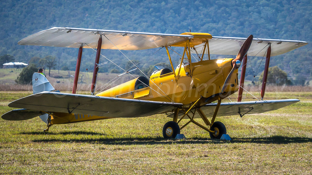 otti-20160828-watts-bridge-tiger-moth-Tiger-moth-P1000647.jpg