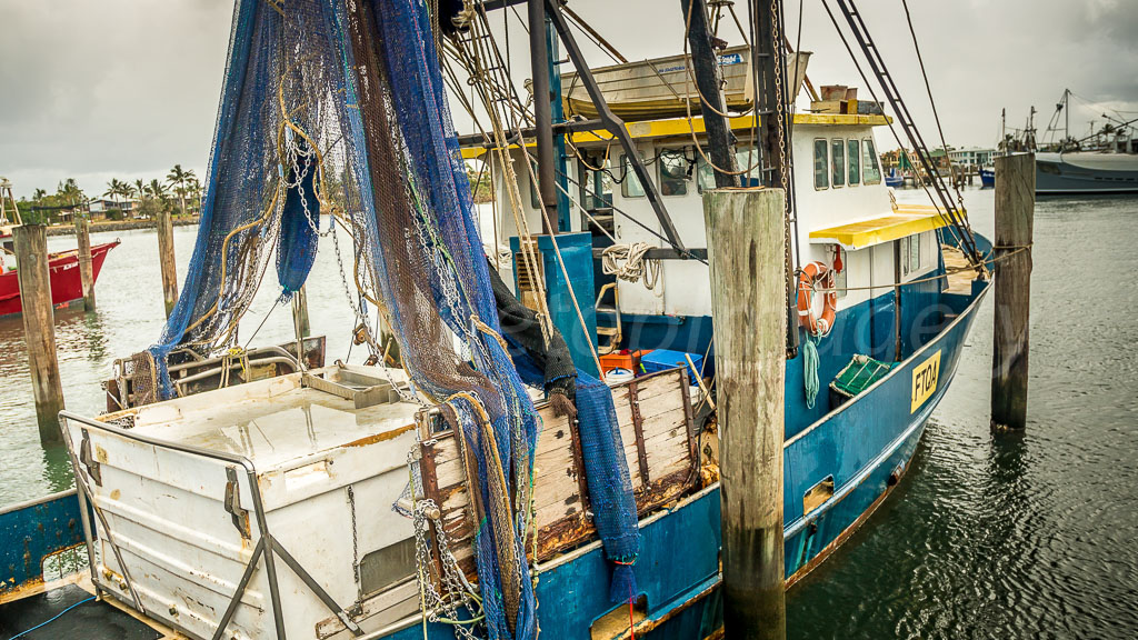 otti-20170226-Maroochy-trawler-P1000933.jpg