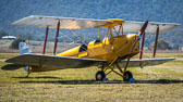 otti-20160828-watts-bridge-tiger-moth-Tiger-moth-P1000647.jpg