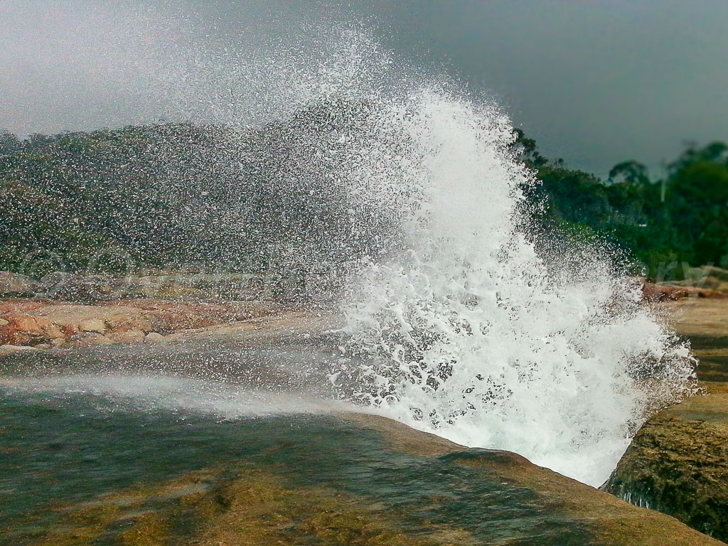 otti-20140304-tasmania-blowhole-20140309_112543.jpg